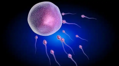 2026年大同单身去大同三医院做试管成功率高吗？怀上几率高达50%