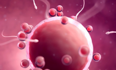 北京市单身女性在解放军总医院第七医学中心做试管婴儿成功率有多高