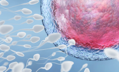 2026年单身女性如何在西南医科大学附属医院做试管？流程费用全解析