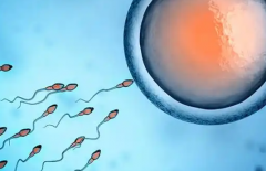 未婚女性去铜陵市妇幼保健院做三代试管可行吗？成功几率高吗？