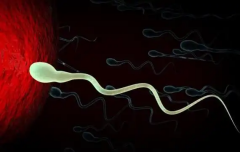 在哈尔滨做试管婴儿要多少费用？详细列出：前期检查/促排卵/胚胎移植