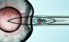 北京市无结婚证的单身女性能去哪里做试管助孕？火箭军特色医学中心