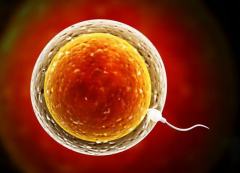 2026格鲁吉亚做三代试管婴儿花费明细(各个项目价格完整公开)