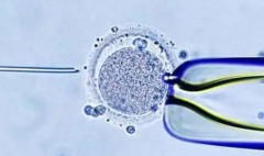 2026年湖北三代试管助孕一次费用全览，流程及省费用攻略