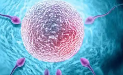 2026年单身人士在珠海市妇幼保健院试管婴儿费用价格表全览