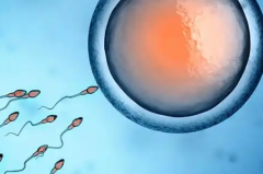 没领结婚证怎么做试管婴儿？2026年联勤保障部队第900医院能为单身做吗