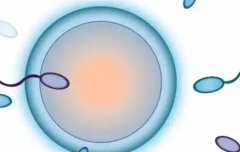 2026江西私立医院三代试管费用最新情况，公立医院费用也要一并了解