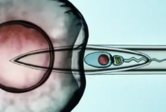 2026年在国内私人医院做三代试管婴儿生小孩要花多少钱