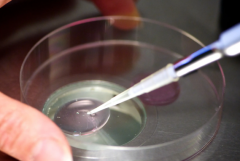 2026浙江杭州三代试管助孕费用全面曝光：附费用明细表一览