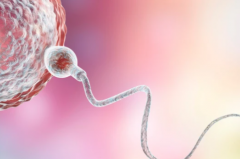 山东三代试管婴儿助孕费用明细，助孕整体费用范围是多少