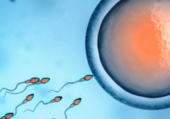 空军军医大学第一附属医院接受无结婚证试管婴儿申请吗？费用及成功