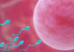 2026年襄阳中心医院单身试管婴儿收费项目及价格一览表