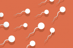 2026辽宁试管婴儿助孕费用：从检查到移植，一文掌握全流程开支