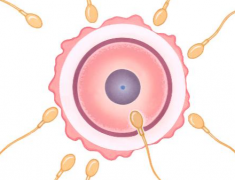 合肥市三代试管婴儿助孕费用大概多少钱？附详细费用参考与助孕成本