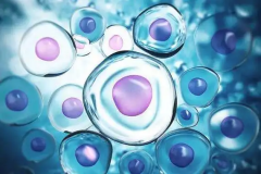 2026年上饶妇幼单身试管婴儿费用价目表一览