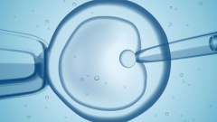 湖南三代试管助孕大概需要多少费用？2026年试管移植完整账单