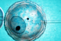 广西三代试管助孕一次完整流程费用大约多少