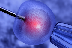 2026年格鲁吉亚三代试管助孕费用公开,附详细费用表与成功率