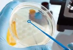 2026年未婚人士在湛江久和医院做试管婴儿价格贵不贵？十万能做吗？