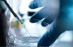 2026年单身女性在贵阳市妇幼保健院做试管婴儿总费用是多少