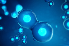 昆明市三代试管婴儿助孕费用详情，价格清单一览表