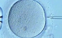 2026年在郑州市做三代试管婴儿做到成功大概要花多少钱？