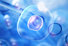 2026年山东省济南三代试管助孕全程花销：具体费用明细分享