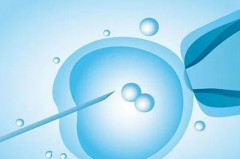 2026上海三代试管包成功避坑指南：流程步骤+关键细节一次性说清