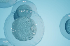 2026年大理附属医院单身试管婴儿费用价目表一览