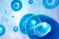 友情提醒：成都市三代试管婴儿包成功需警惕这些陷阱