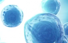 2026长沙市三代试管助孕生一个孩子的总费用是多少