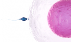 天津三代试管助孕实际费用是多少？2026全新报价单曝光