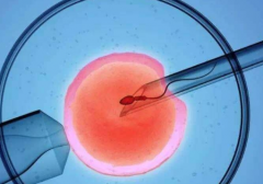 贵阳市试管包成功私立医院可信吗？业内人士揭露真相