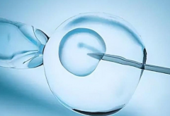 2026中国三代试管包成功最新政策：流程/费用及注意事项权威梳理