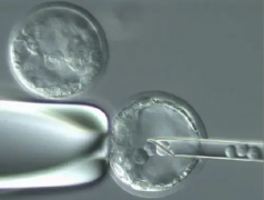 友情提醒：哈萨克斯坦三代试管婴儿包成功需警惕这些陷阱