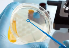 2026年江西南昌做三代试管助孕费用贵吗？附省钱的诀窍与收费一览