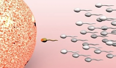 俄罗斯试管婴儿价格包干套餐，全面了解包含的医疗服务项目