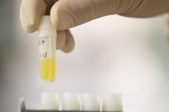 2026年在四川成都做三代试管包成功是真的吗？附医院介绍