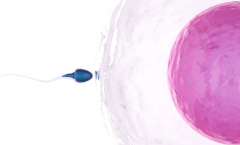 江苏省南京市三代试管婴儿2026包成功？流程+注意事项深度科普