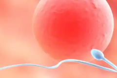 2026兰州三代试管婴儿包成功真相：流程与注意事项深度解读