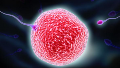 武汉市第三代试管婴儿手术费用全面介绍，详细了解全过程的花销