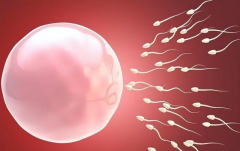 揭秘广州大学城中医院未婚做试管婴儿多少钱，一次预算12万才够