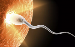 2026年湖北省三代试管婴儿费用全解析,详细费用清单曝光