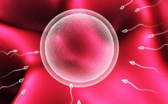 2026上海三代试管大概多少钱？助孕费用真实揭秘