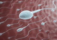 咸宁单身女性在咸宁中心医院做试管婴儿成功率有多高？