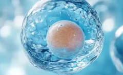 2026泰国三代试管婴儿包成功真相：流程与注意事项深度解读