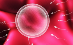 哈萨克斯坦做三代试管婴儿助孕大概要多少钱？总费用明细一览