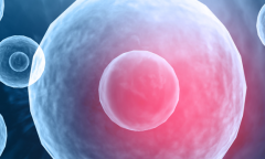 2026西安做第三代试管婴儿总费用多少？附上实际费用流水及流程介绍