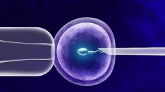 2026年梧州工人医院单身女性做试管婴儿费用明细表一览！