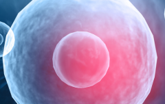 2026云南省试管助孕费用明细全公开